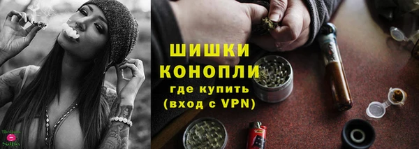 шишки Вязьма