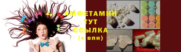 шишки Вязьма