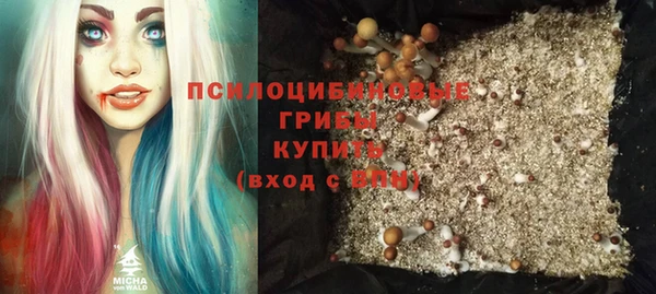 марки nbome Вяземский