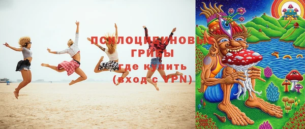 марки nbome Вяземский