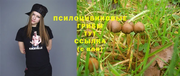 ешки Долгопрудный