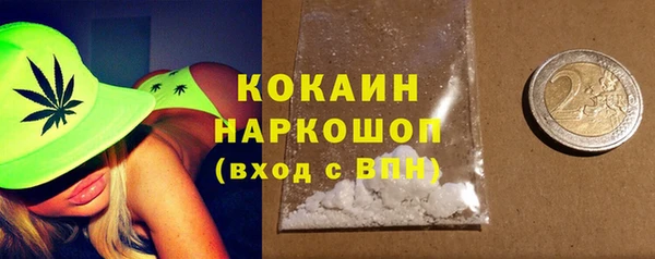 шишки Вязьма