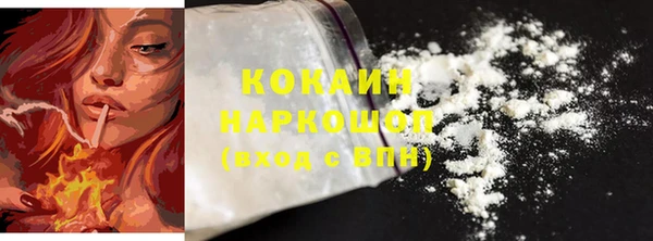 шишки Вязьма